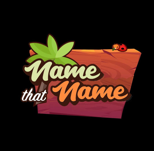 Name that Name - Boardgame