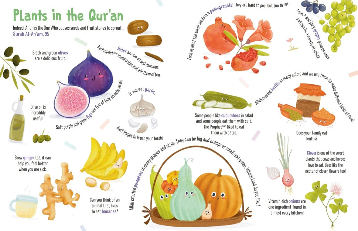 First Words From the Quran | Children's Islamic Board Book